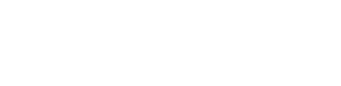 Golf Traveller